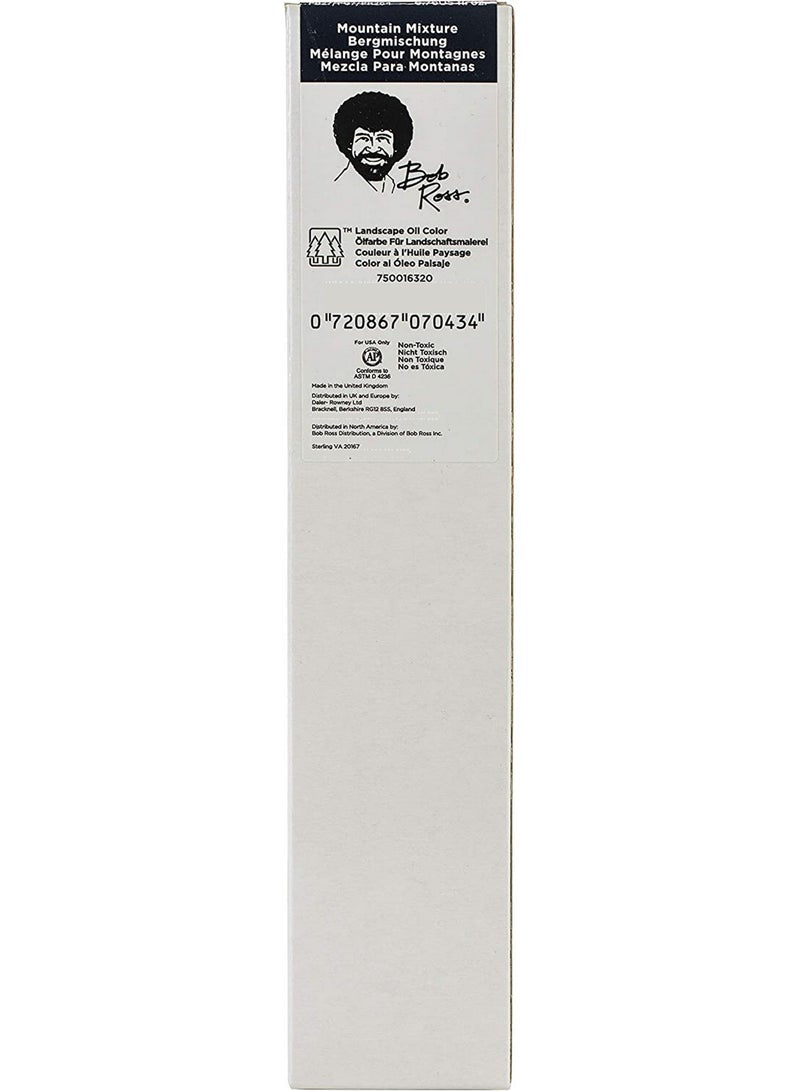 BOB ROSS Oil Paint Mountain Mix 200 ml
