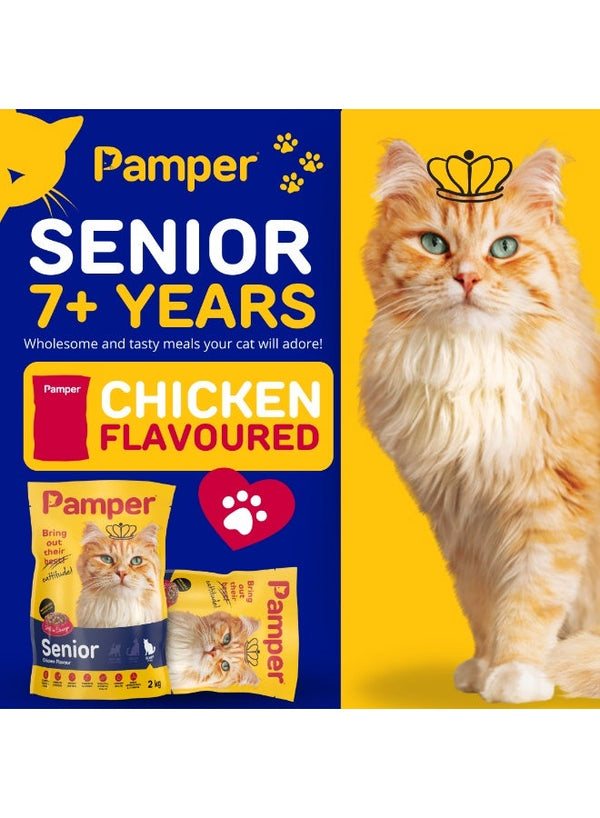 Pamper Senior Dry Cat Food 2Kg