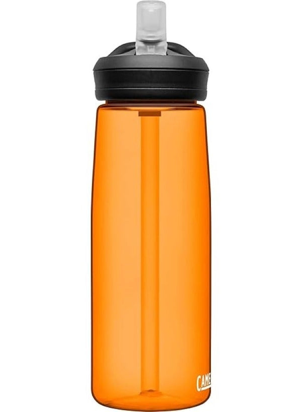 CAMELBAK Eddy+ 25Oz Lava Water Bottle