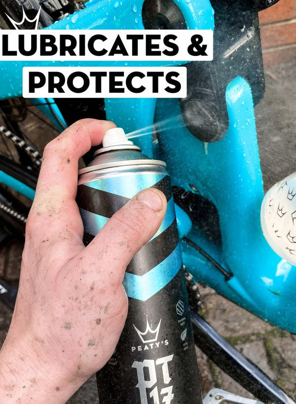 PEATY'S Pt17 General Maintenance Spray