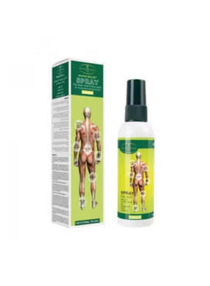 Muscle Pain Relief Spray 100g Aichun Beauty