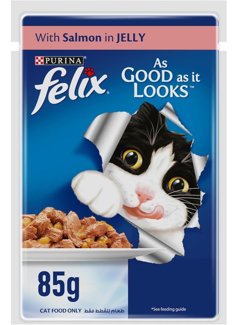 Purina Felix Salmon Cat Wet Food 85G