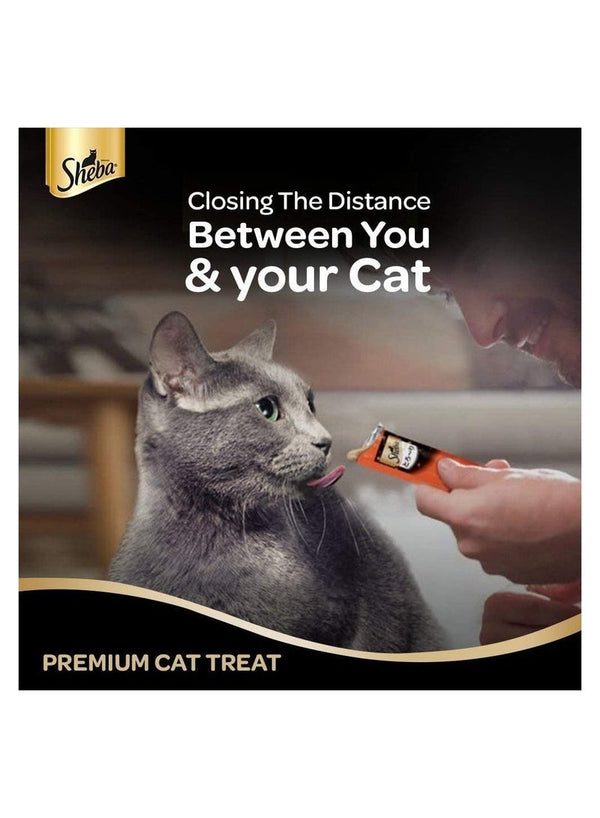 Sheba Melty Chicken Flavour 48g - Premium Cat Snack