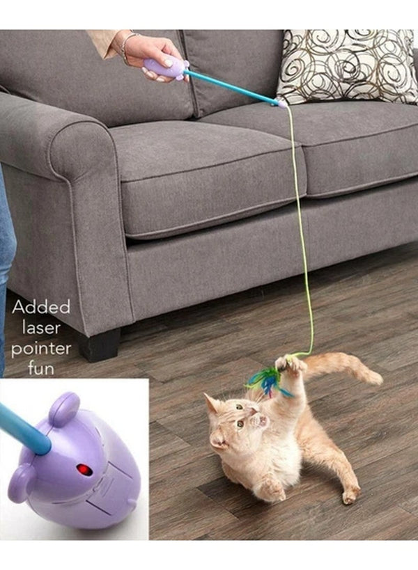 Aime Aime Fishing Rod With Laser Cat Toy