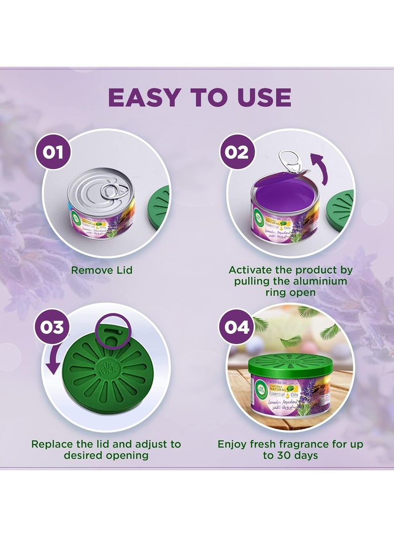 Air Wick Scented Gel Lavender Meadow 70 G