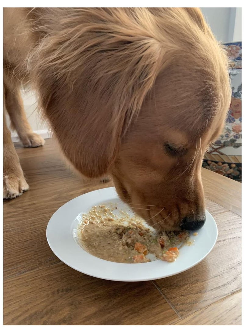 CARU Daily Dish Turkey Salmon Stew for Dogs