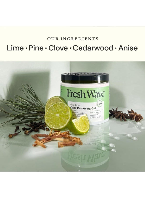 Fresh Wave Odor Eliminating Gel 425g
