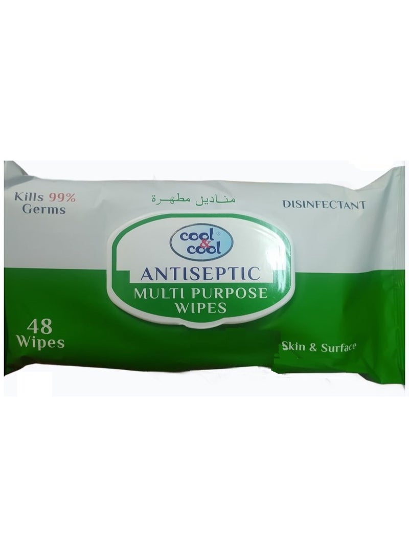 Antiseptic Multi-Purpose Wipes 48 Pack - Cool & Cool