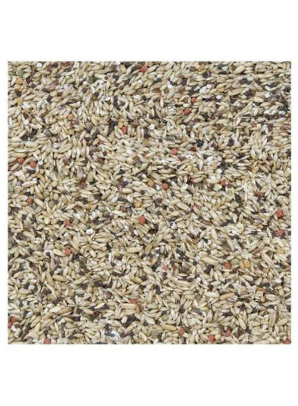 HigginS Vita Seed Canary Food 900 Gram