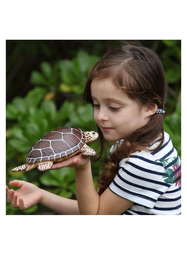 Safari Ltd Sea Turtle Figure - Premium Quality