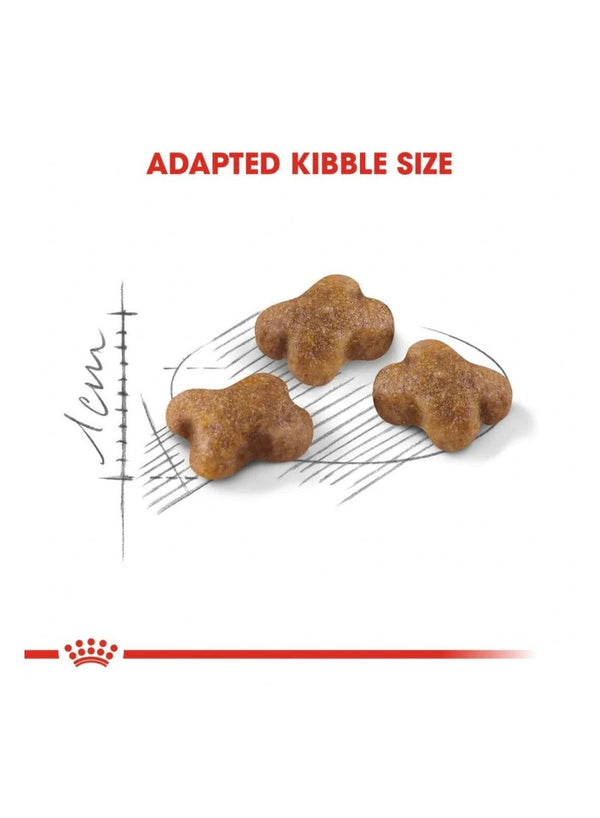 ROYAL CANIN Kitten Food 400g - Premium Nutrition
