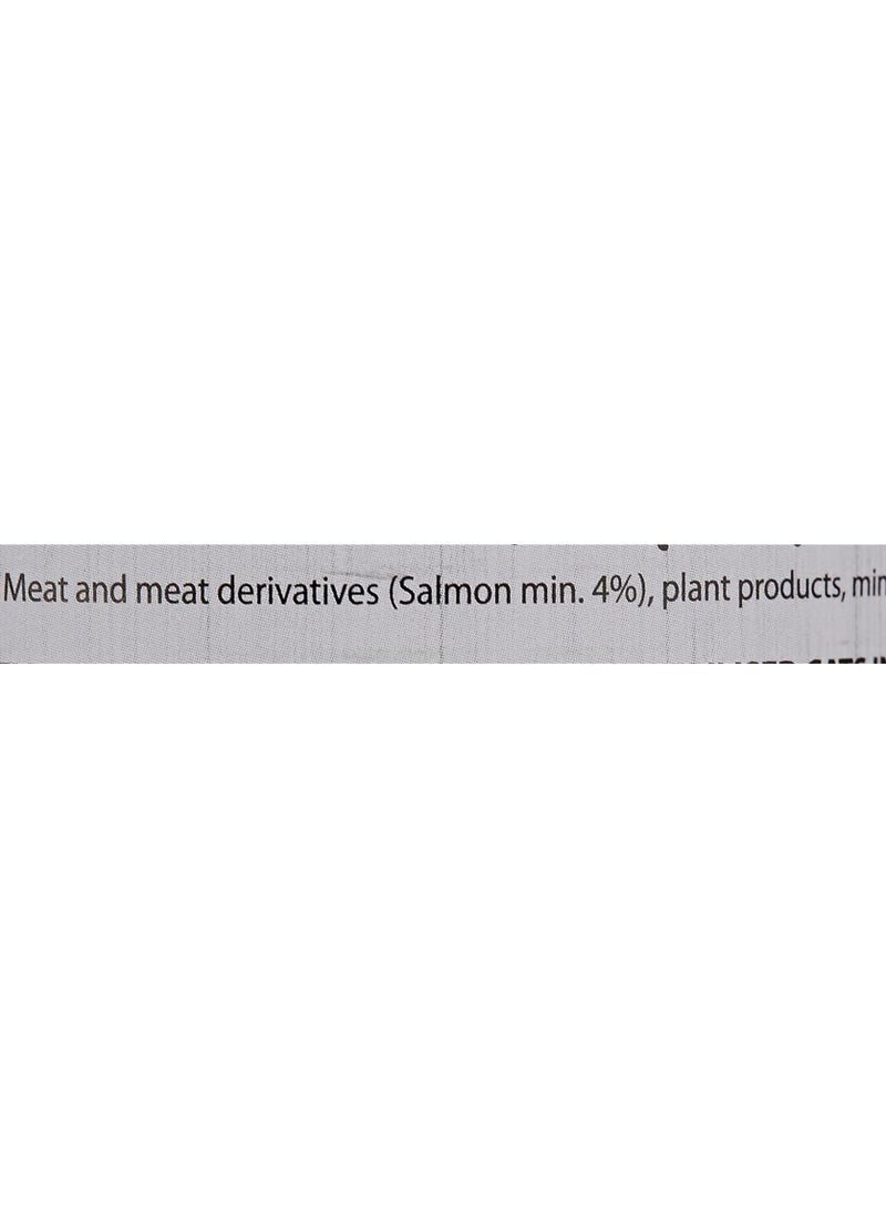 Energy Wet Cat Food with Salmon Chunks 400 Gms