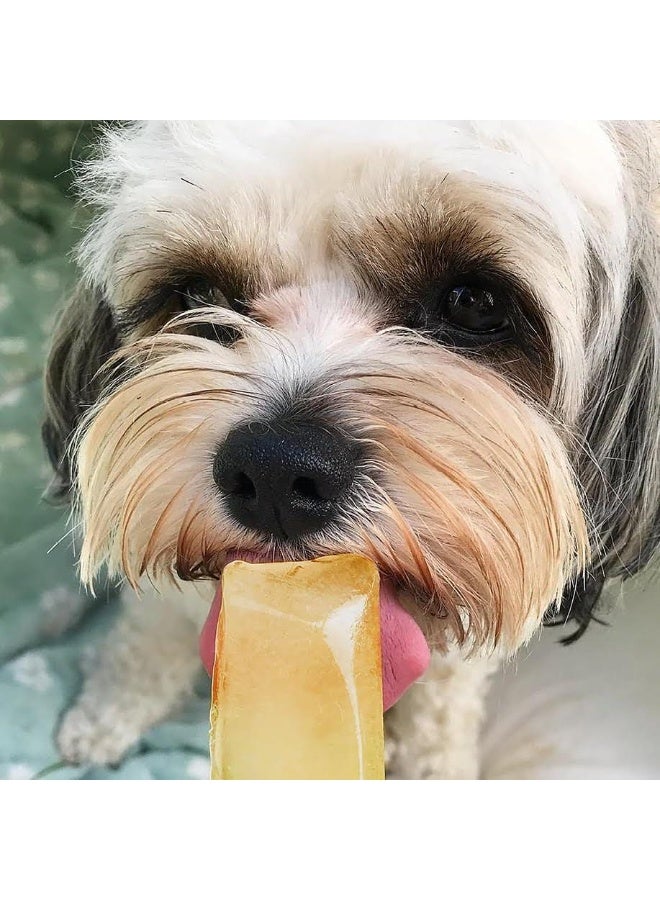 Cooling Ice Pop Treats for Dogs by Woof&Brew