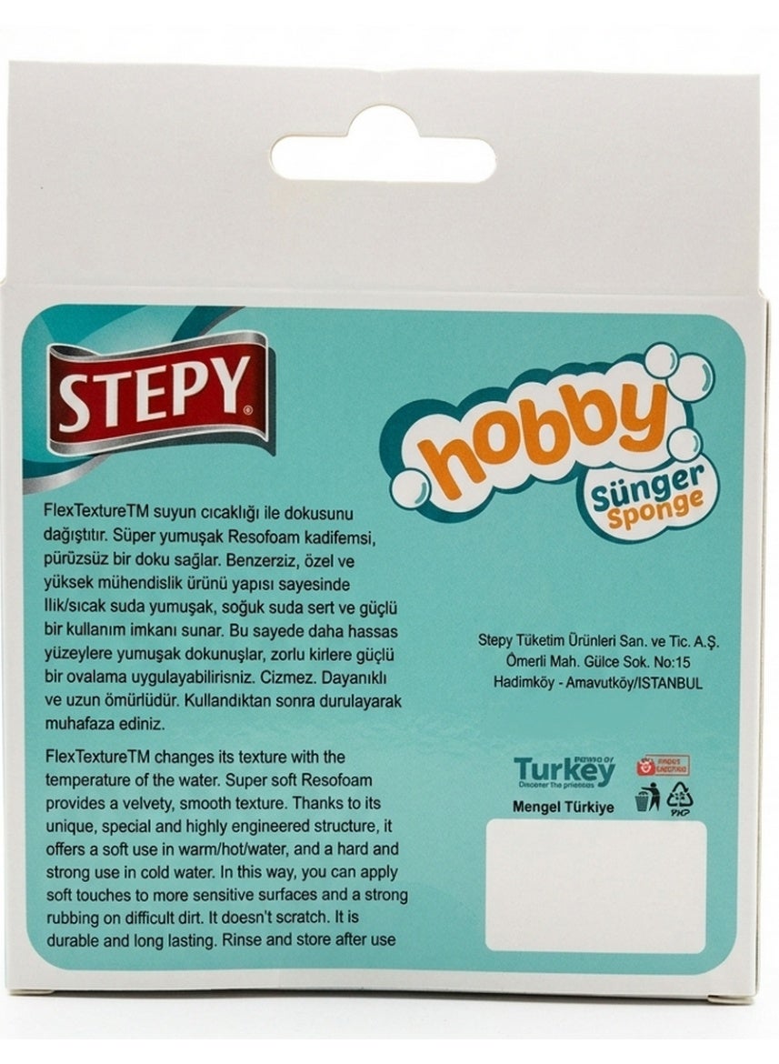 air dry, assorted colors, cold water, dry place, ease non, every day, hobby scrubber, hobby scrubber sponge, hot water, multi purpose, scrubber sponge, scrubber sponge single, sponge single, stepy, warm water