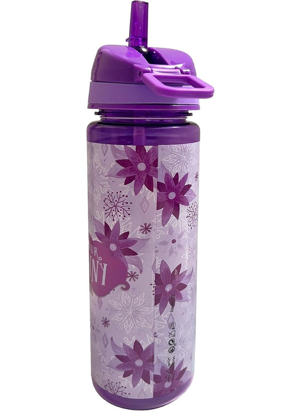 Trucare Disney Frozen Find Your Destiny Water Bottle