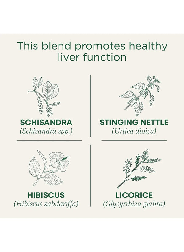 Organic Everyday Detox Tea - Traditional Medicinals