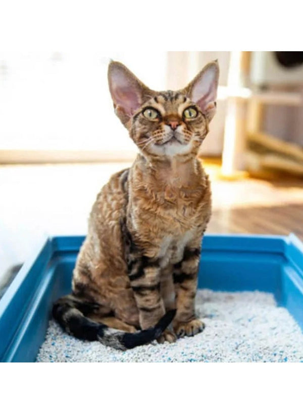 Long Feng Crystal Cat Litter 3.8 L