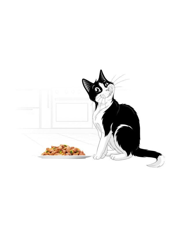 PURINA Doubly Delicious Fish Selection 12x100g