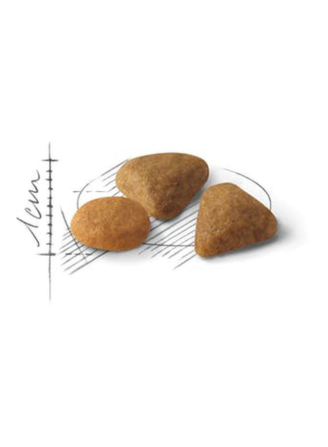 ROYAL CANIN Feline Preference Savour 2kg Cat Food