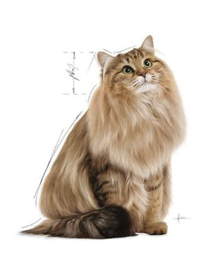ROYAL CANIN Hairball Care Cat Wet Food 85g