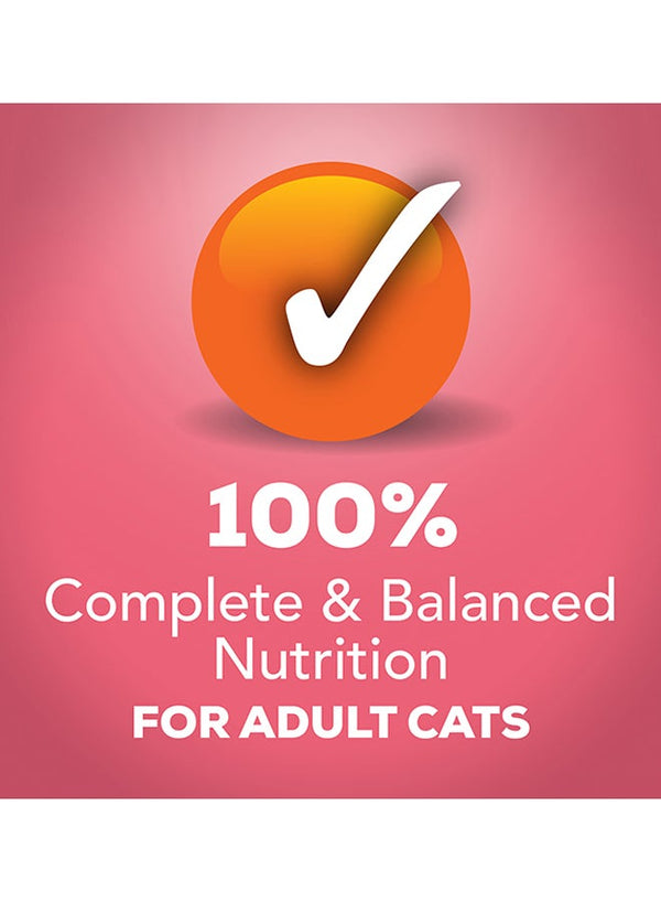 Friskies Extra Gravy Cat Food 156g - PURINA