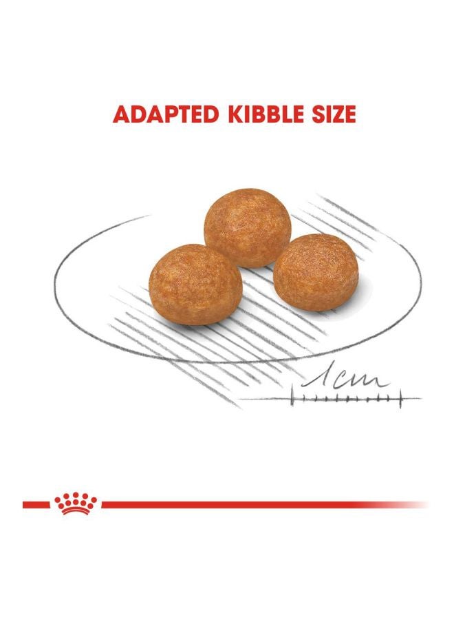 ROYAL CANIN Healthy Transit X-Small Adult Dog Food