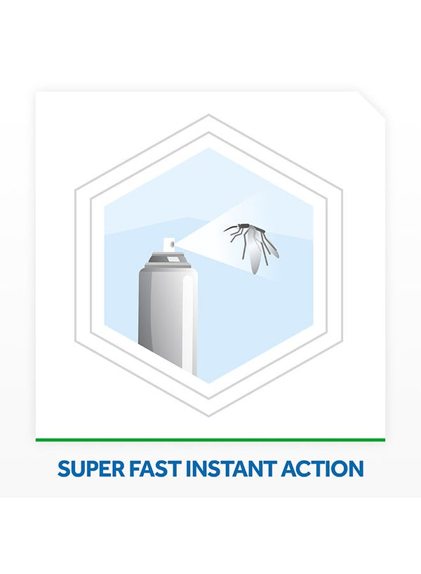 Raid Super-Fast Crawling Insect Killer 300ml