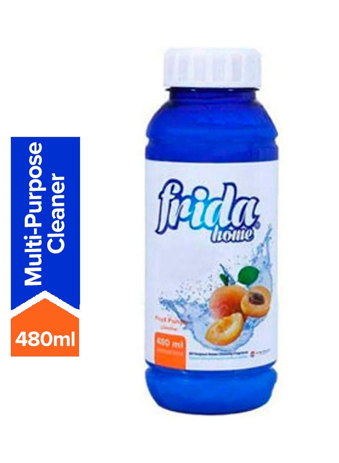 Frida Home All Purpose Cleaning Fragrance - Fruit Punch