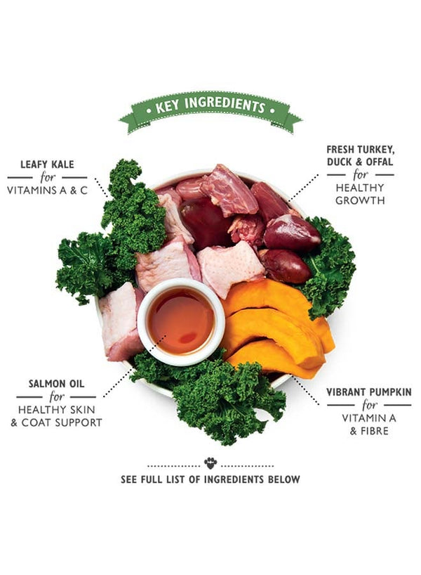 Lily's Turkey and Duck Puppy Recipe 400g