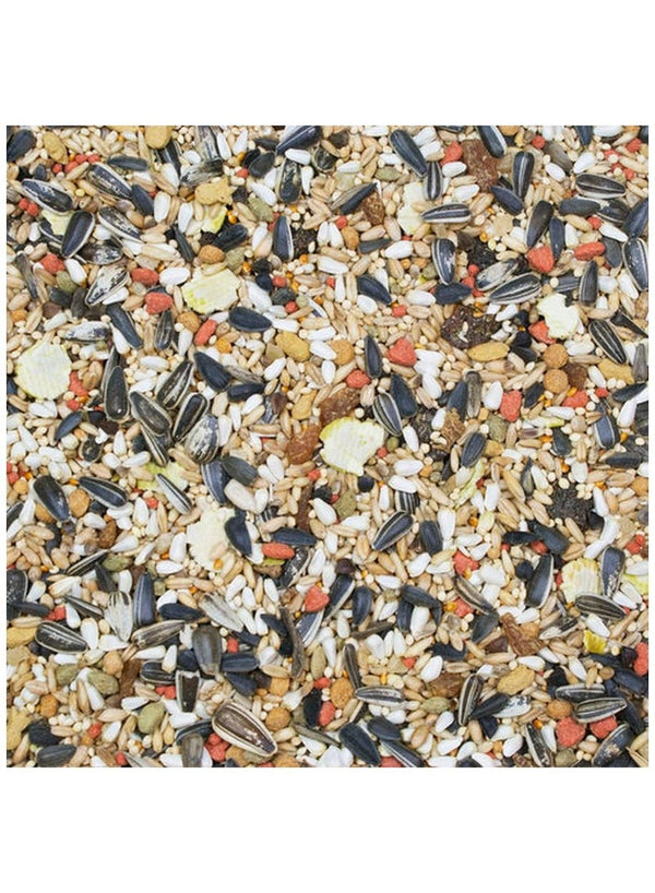 HigginS Vita Seed COCKATIEL Dry Food 2.5 Lb