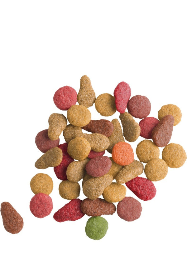 VERSELE LAGA Lara Cat Food Salmon 2 Kg
