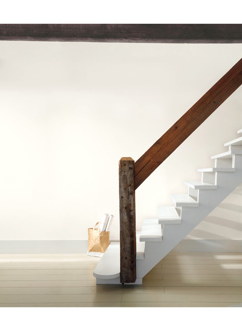 Benjamin Moore Regal Select Interior Paint