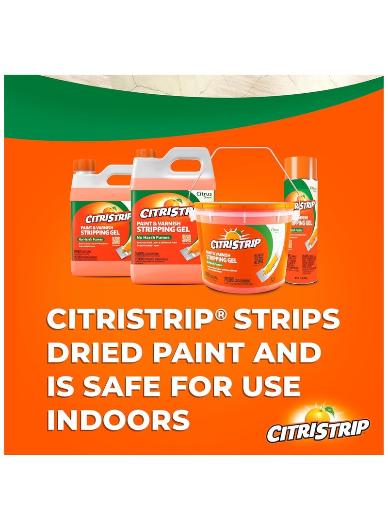 CITRISTRIP Paint & Varnish Remover 482 G