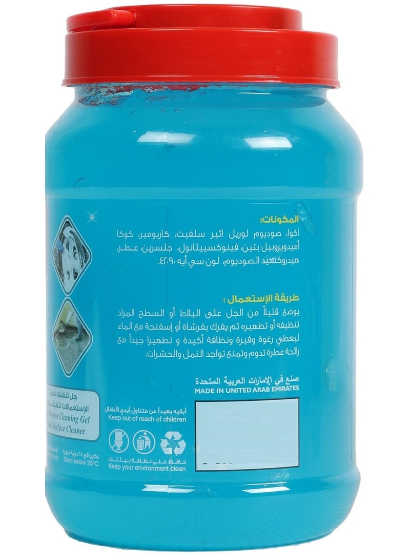 Home Mate Ocean Breeze Cleaning Gel 1 Kg