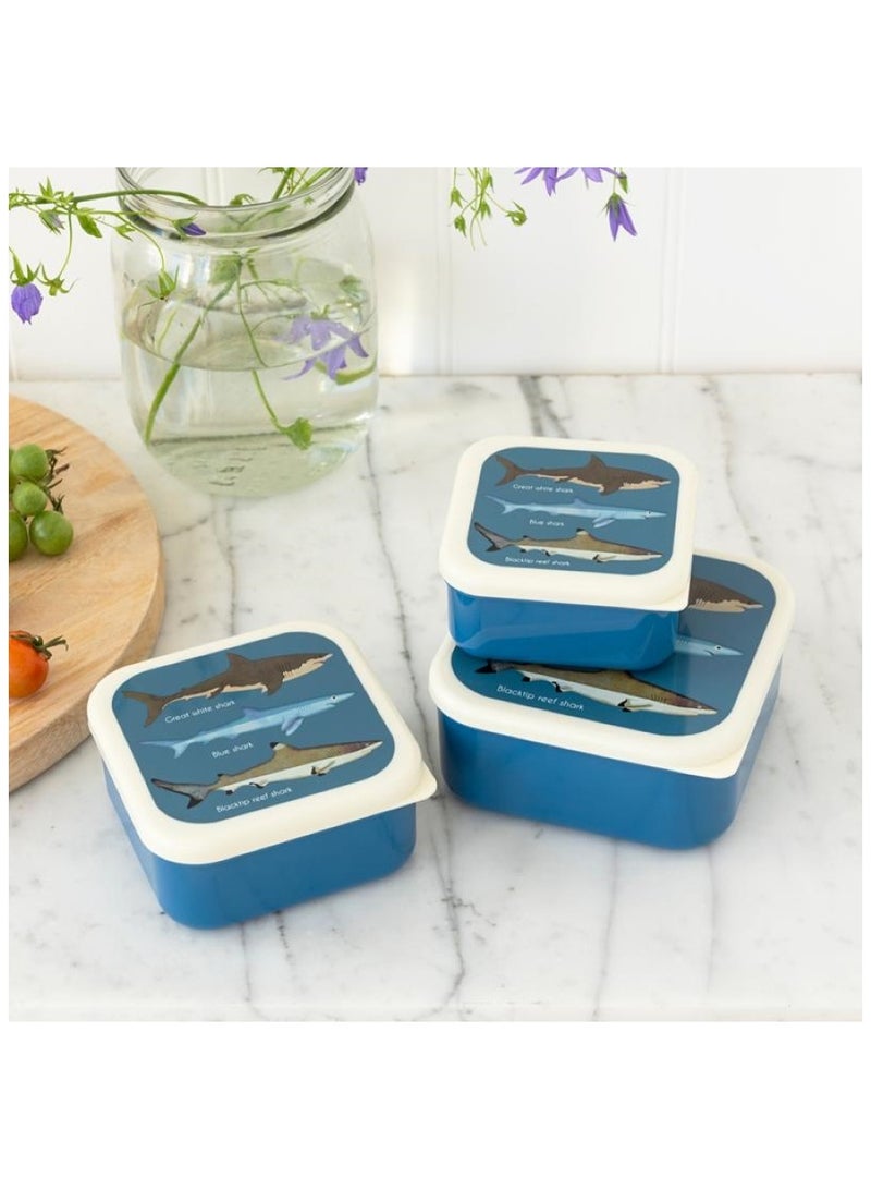 Rex London Wild Wonders Lunch Box With Tray