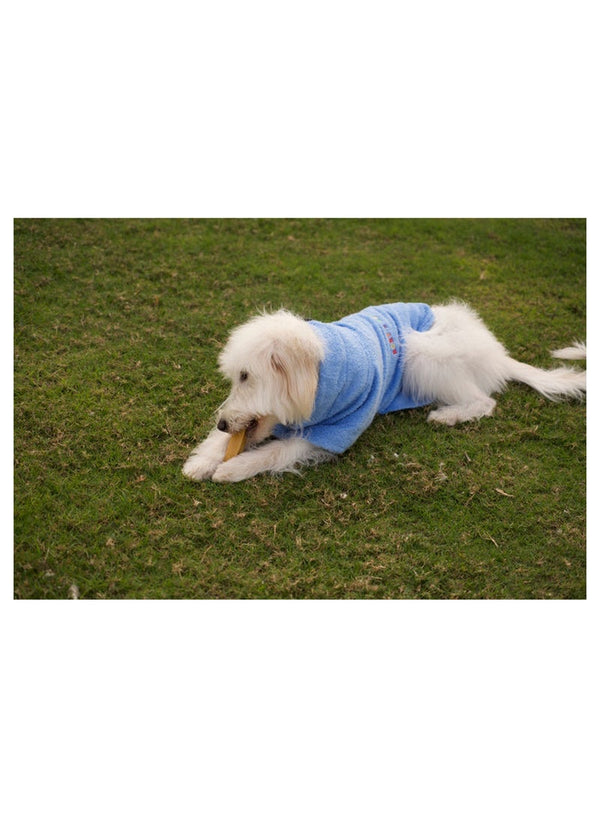 Rory'S APAWTHECARY Dog Towel Medium Size