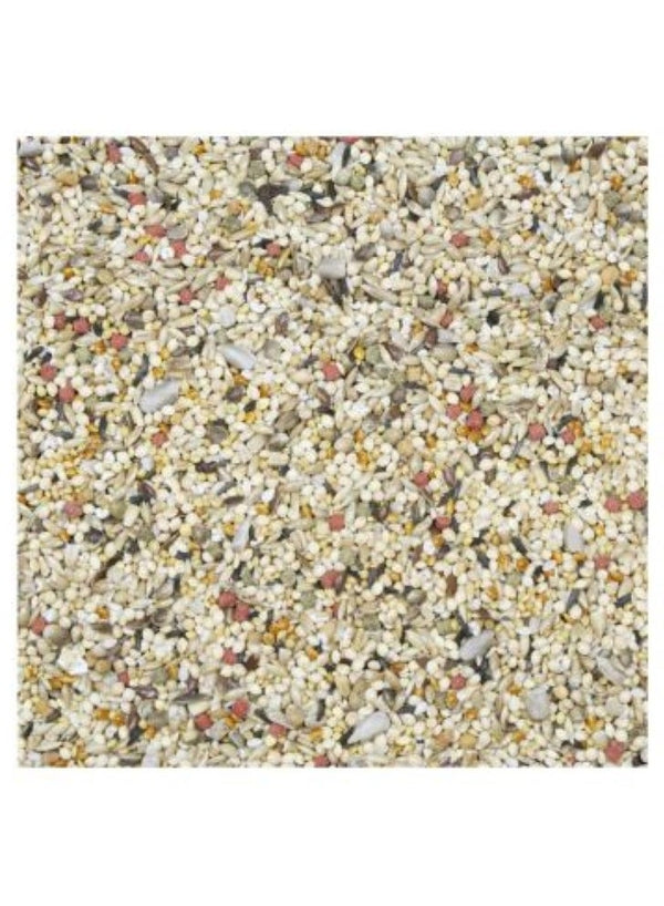 HigginS Ita Seed Finch Birds Dry Food 900 Gram