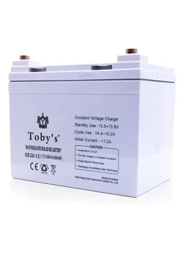 Toby's Power Inverter with Rechargeable Battery