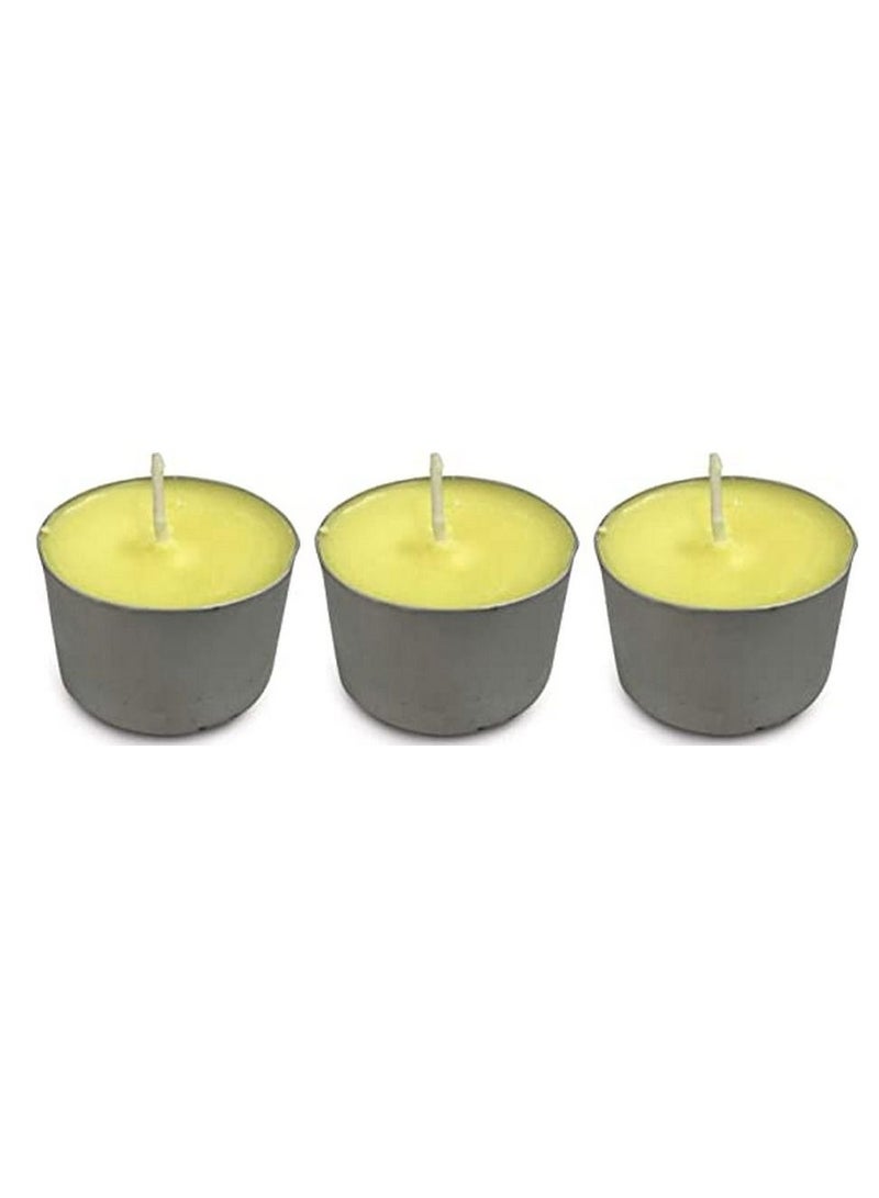 All-Natural Citronella Burner - JT Eaton