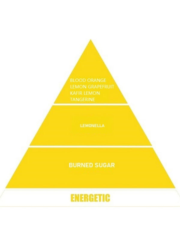 VAVANA Car Vent Freshener Energetic