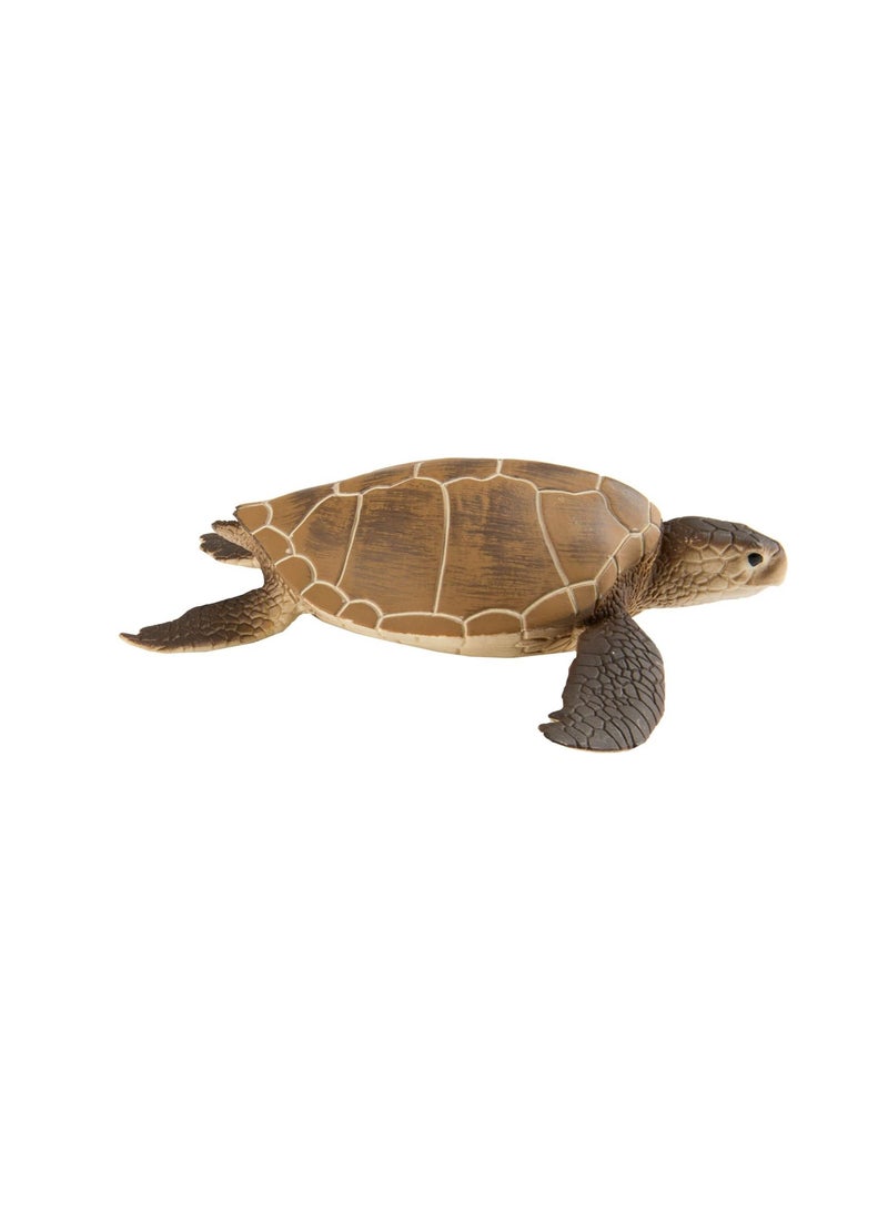 Safari Ltd Green Sea Turtle 4 Inch Figurine