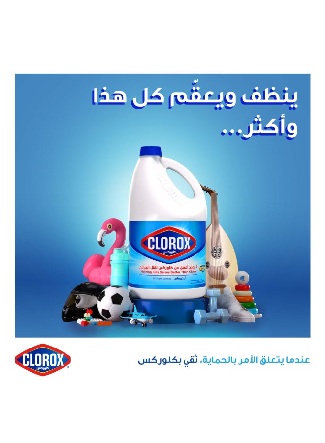 Clorox Liquid Bleach 950ml - Clorox