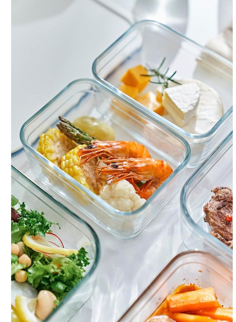 Neoflam Perfect Seal Rectangular Glass Storage Container