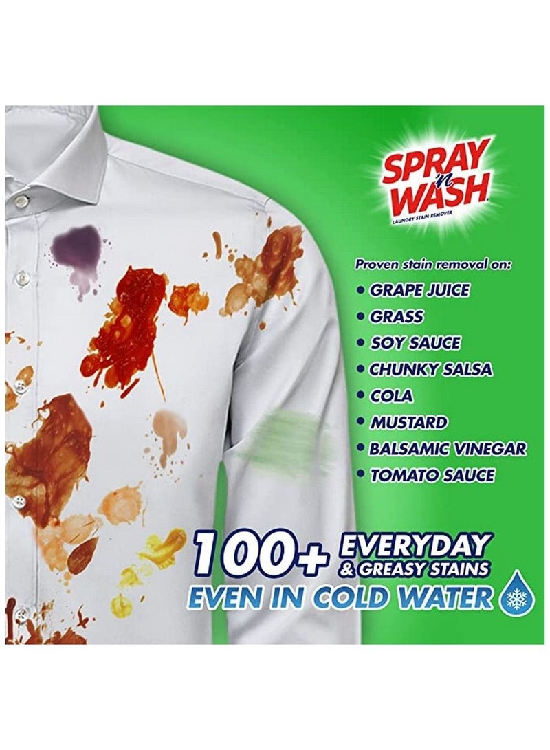 Spray'N Wash Pre-Treat Stain Remover 650 ml