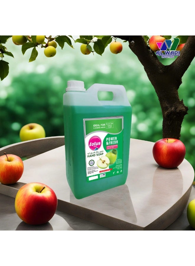 Lotus Hand Wash Apple Fragrance 5L - Quality Care