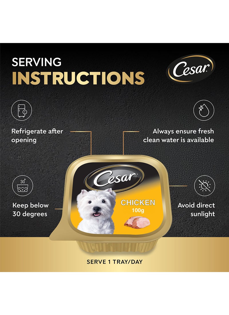 Cesar Chicken Wet Dog Food 100g - Premium Quality