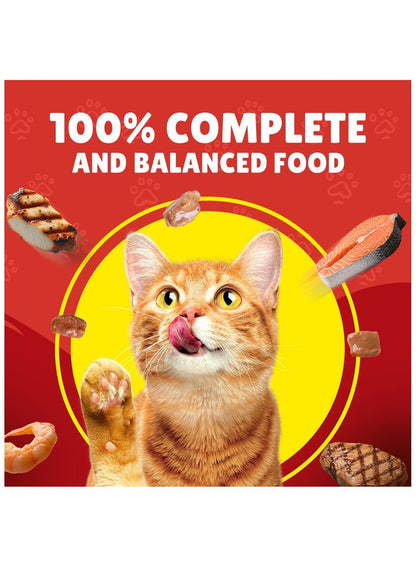 PURINA Friskies Turkey Chunks in Gravy Wet Cat Food