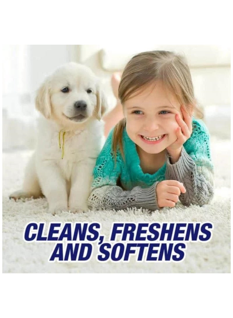 Classic Carpet Cleaner & Rug Shampoo 454G Classic