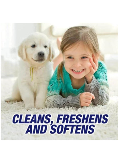 Classic Carpet Cleaner & Rug Shampoo 454G Classic