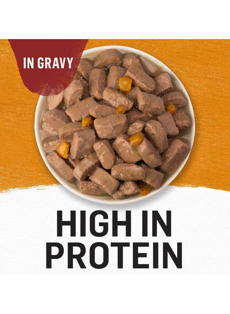PURINA Beyond Chicken & Sweet Potato Wet Dog Food 354g